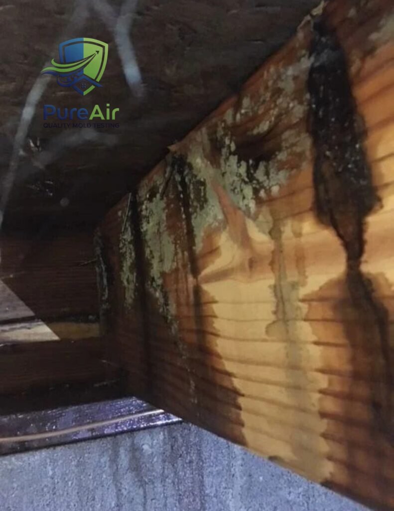 A wooden beam with water damage and mold on its surface.