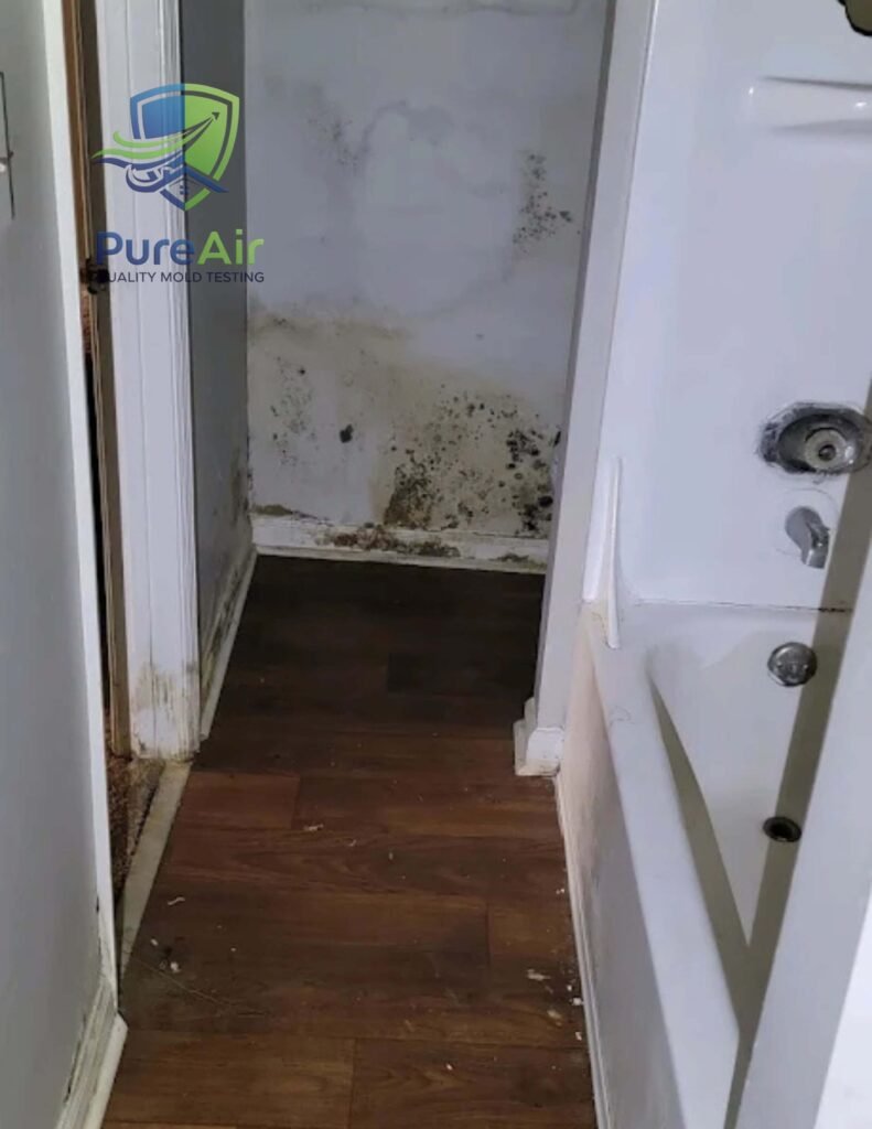 A picture of a wall with mold on it.