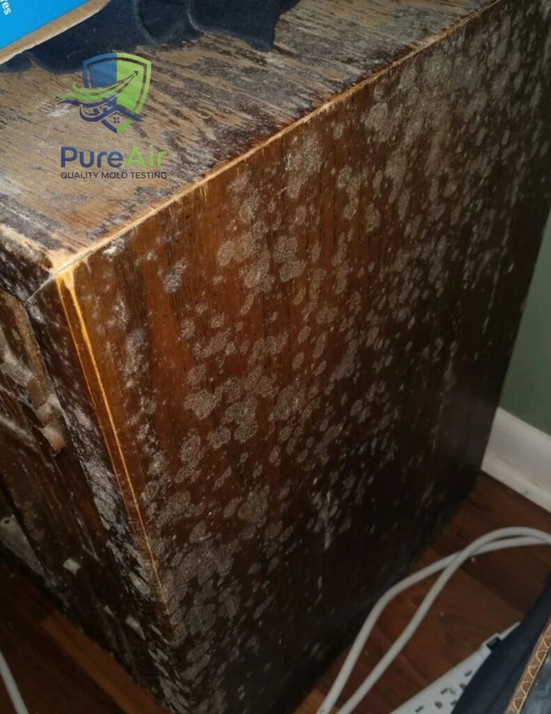 A wooden cabinet with mold on its surface.